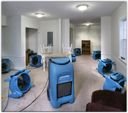 Water Extraction & Removal in Westmont, CA
